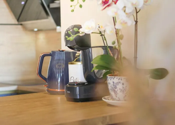 아파트 Mali Dvor Novigrad 노비그래드달마샤